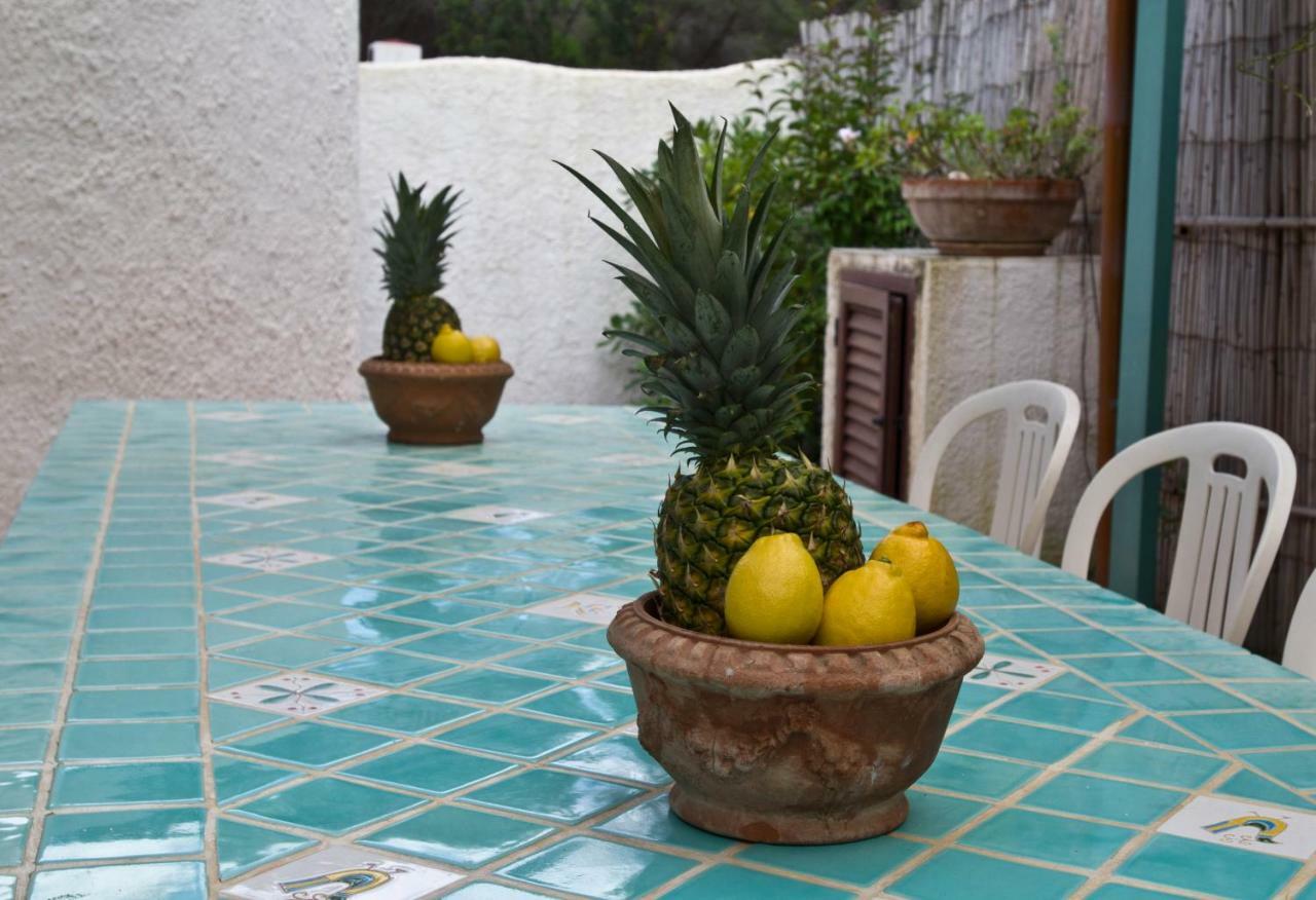 Jungle House - Pineta Is Morus Βίλα Santa Margherita di Pula Εξωτερικό φωτογραφία